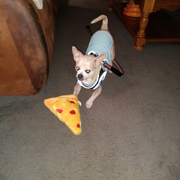 CLEARANCE SALE - Picture 3 of 3